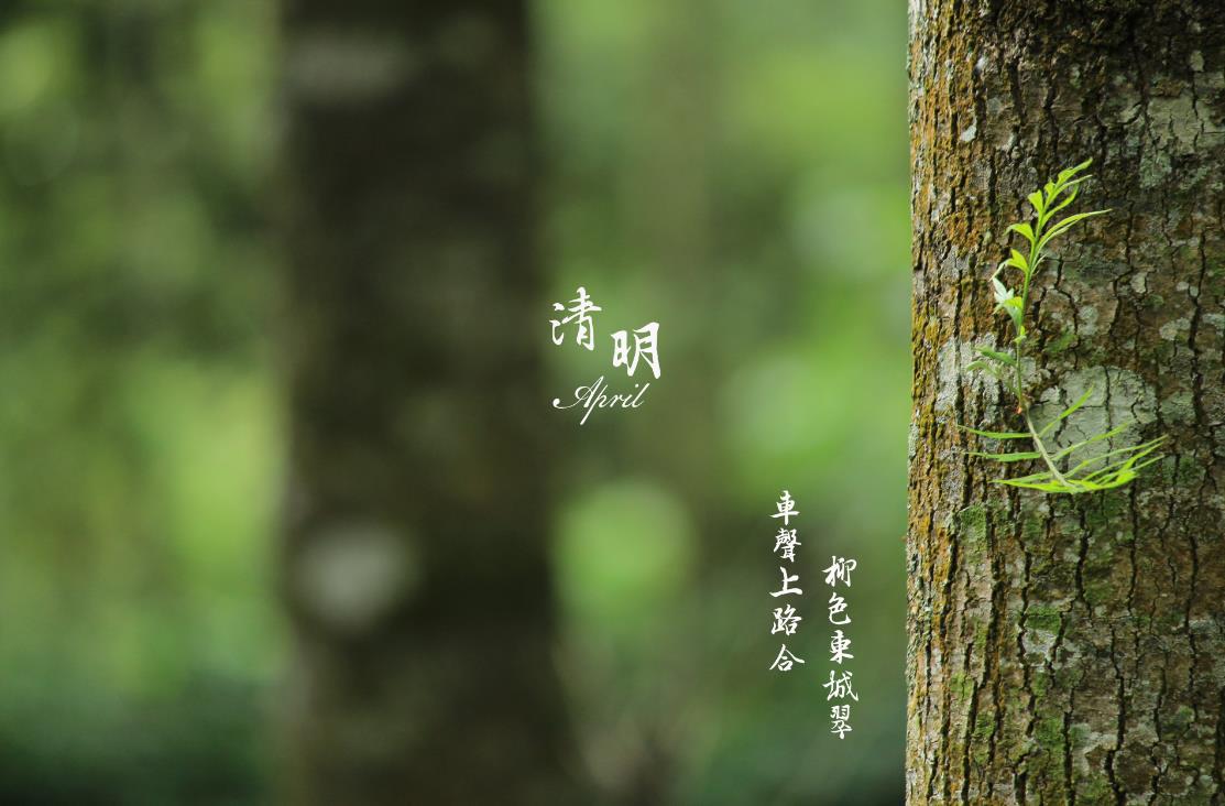 2023年商标圈清明节放假通知